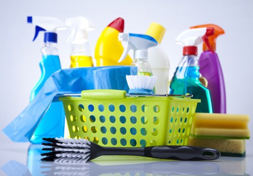 Cleaner conducting a safe deep cleaning assessment in a property