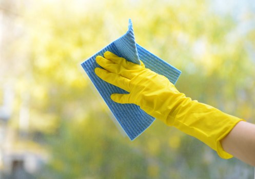 Cleaner working in a Belsizepark flat with period features