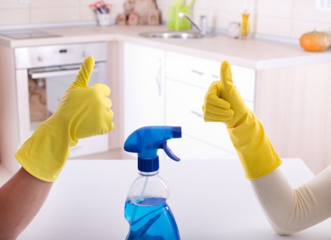 Client reviewing a deep cleaning complaints process