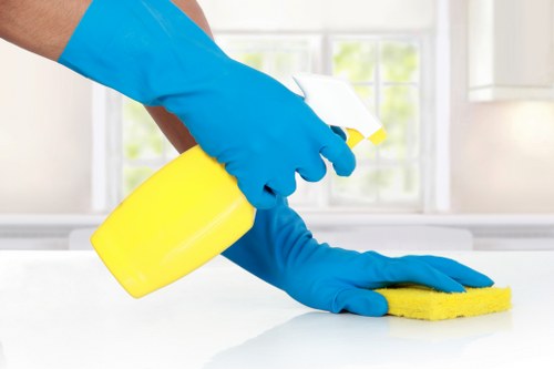 Kitchen deep cleaning during a tenancy clean in Belsizepark