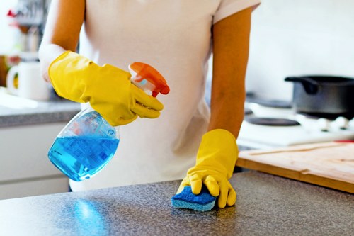 Cleaners focusing on detailed deep cleaning in a Belsize Park property