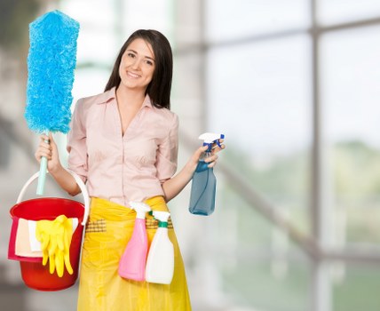 Professional sofa cleaning service for Belsize Park homes
