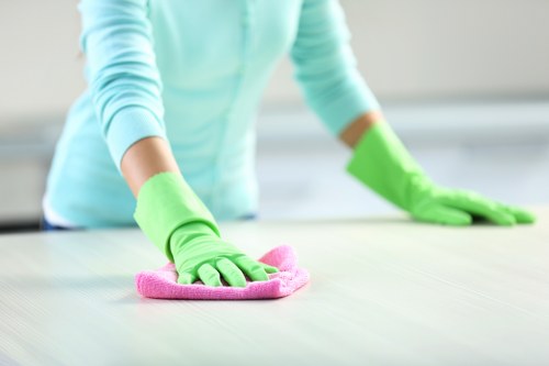 Professional cleaners handling detailed bathroom cleaning in Belsizepark