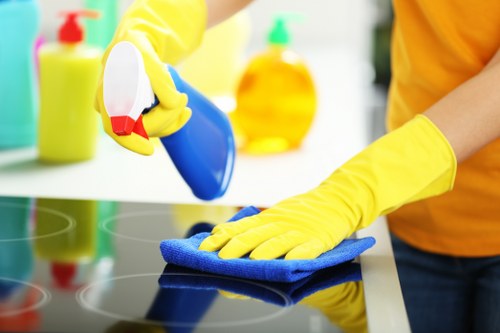 House cleaner working in a modern apartment near Swiss Cottage and Belsizepark