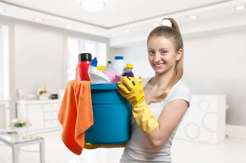 Carpet cleaning service for homes and businesses near Belsize Park