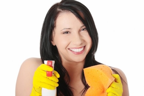 Deep Cleaning Belsizepark website cookie usage explanation