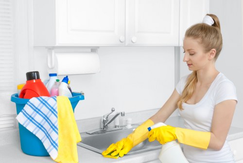 Domestic cleaning service for a period property in Belsizepark