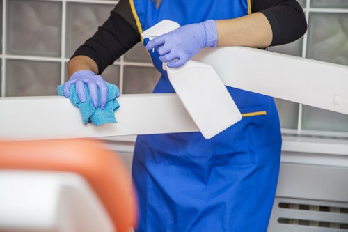 Professional local cleaners covering homes and businesses in Belsizepark